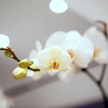 Apartman 2 Large Br 10min Alexanderplatz *